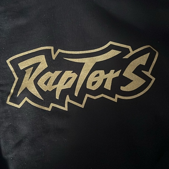 Toronto Raptors Black & Gold Medium Hoodie - Picture 3 of 3